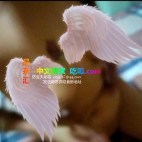 可肛三通少妇来了
