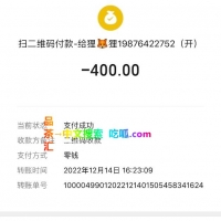 天河狸猫